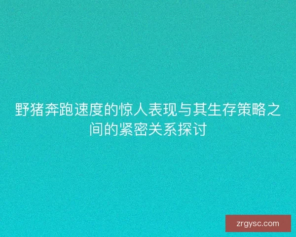 野猪奔跑速度的惊人表现与其生存策略之间的紧密关系探讨