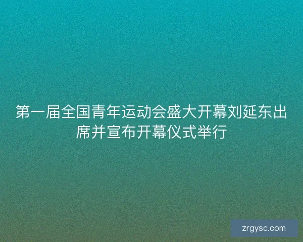 第一届全国青年运动会盛大开幕刘延东出席并宣布开幕仪式举行